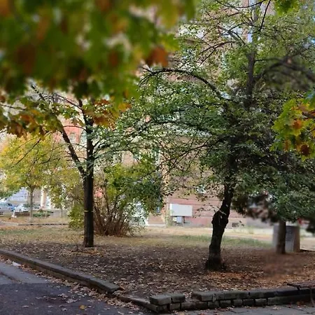 Romantic Bijoux Elegant In *