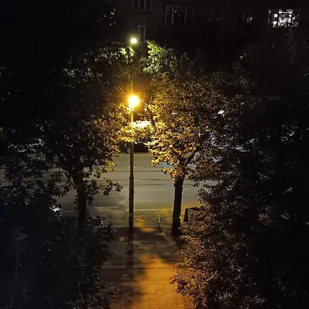 Romantic Bijoux Elegant In * Sofia